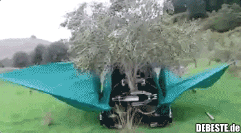  - Lustige Bilder | DEBESTE.de