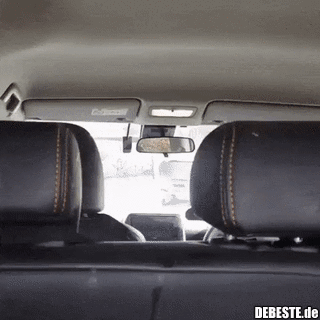 Hunde lieben diesen Trick..