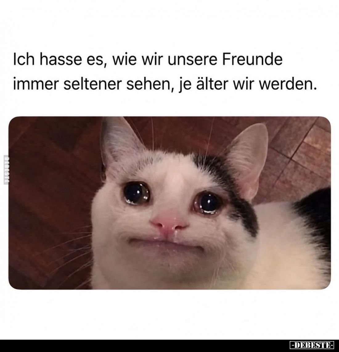 Ich hasse es, wie wir unsere Freunde immer seltener sehen, je älter wir werden.