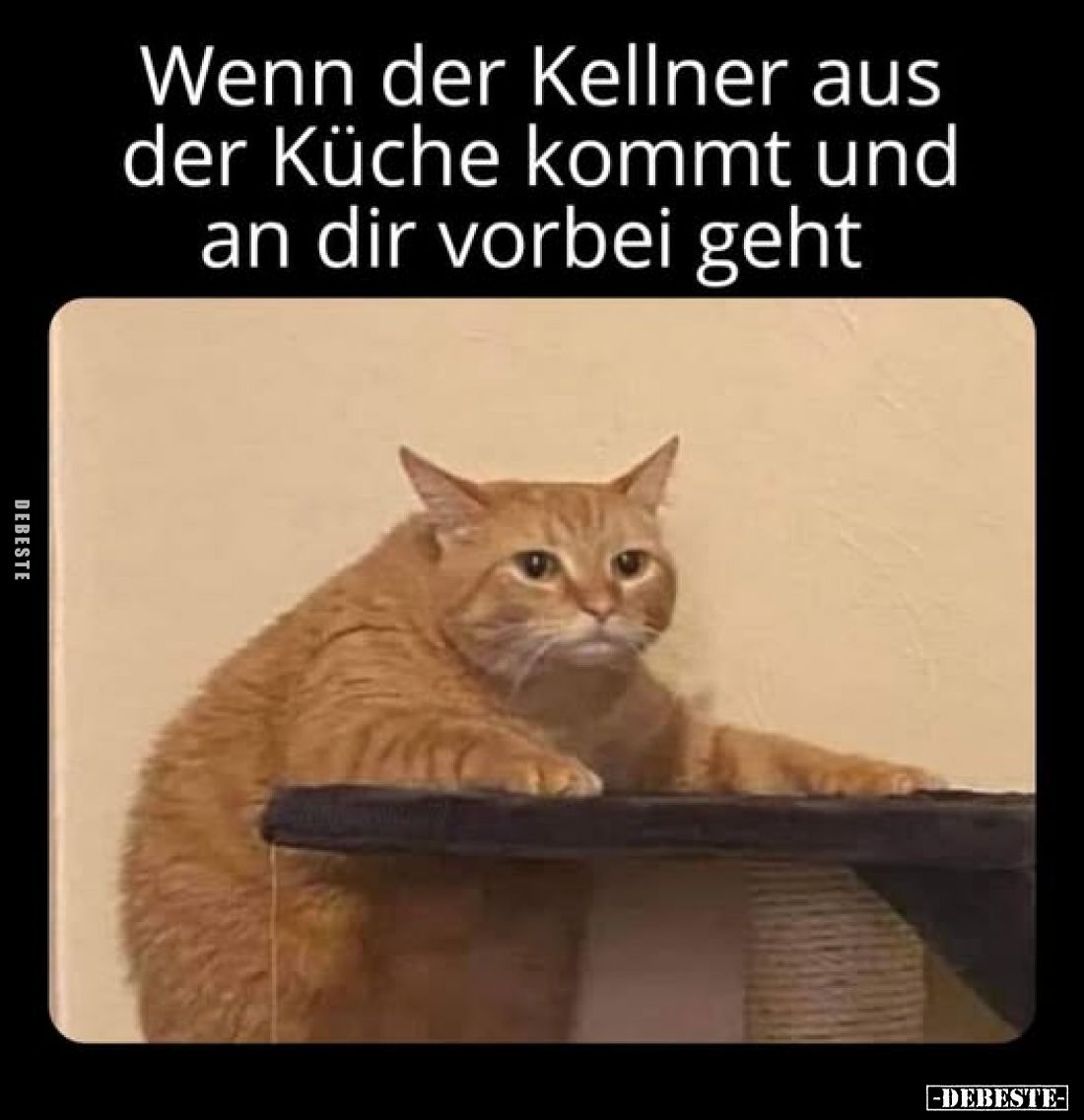 Wenn der Kellner aus der Küche kommt und an dir vorbei geht