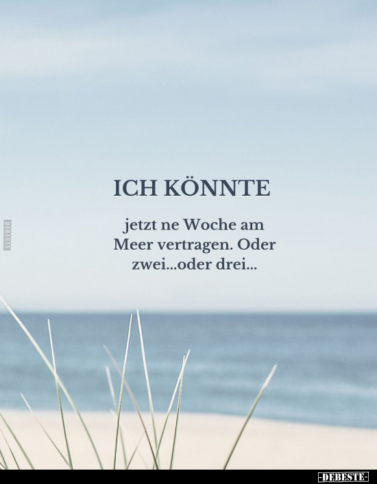 ICH KÖNNTE jetzt ne Woche am Meer vertragen.. - Lustige Bilder | DEBESTE.de