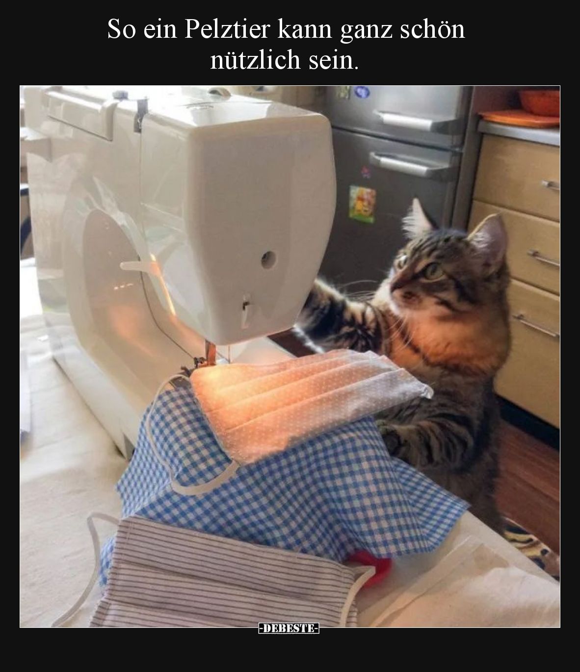 So ein Pelztier kann ganz schön nützlich sein.