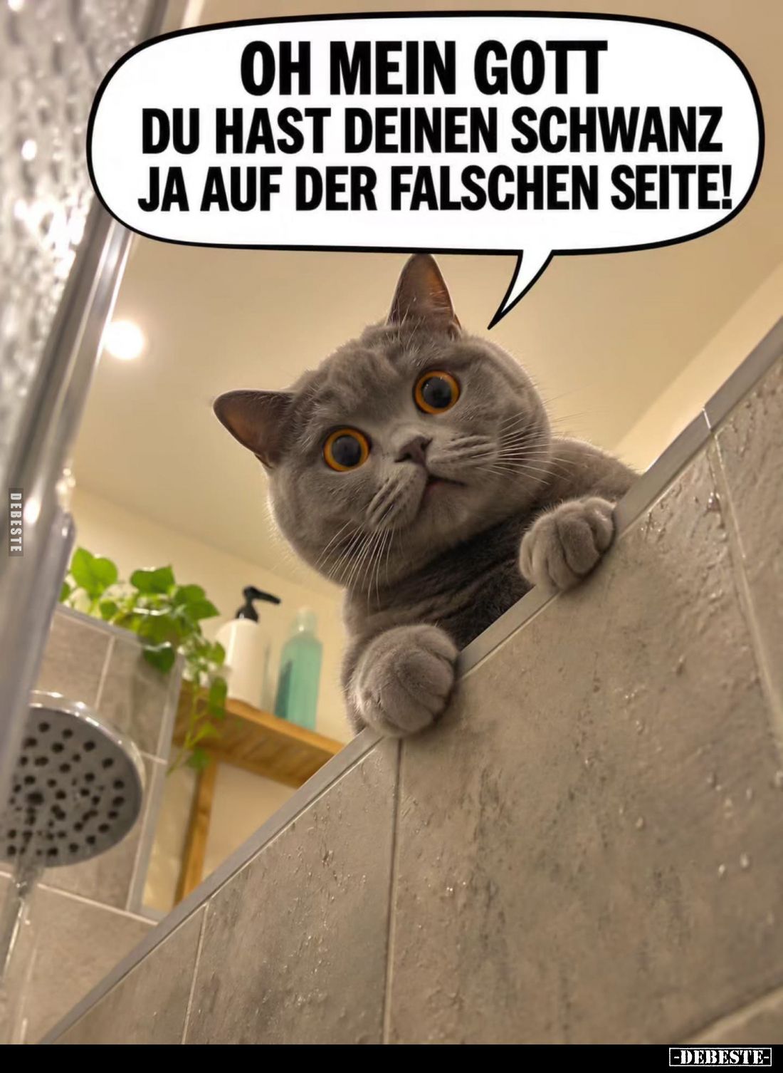 Oh mein Gott. Du hast deinen Schwanz ja auf der falschen Seite!