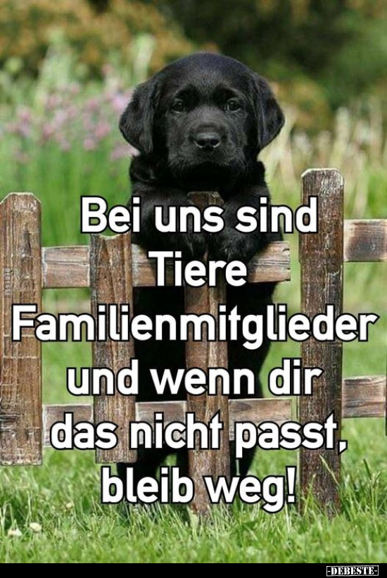 Bei uns sind Tiere Familienmitglieder.. - Lustige Bilder | DEBESTE.de