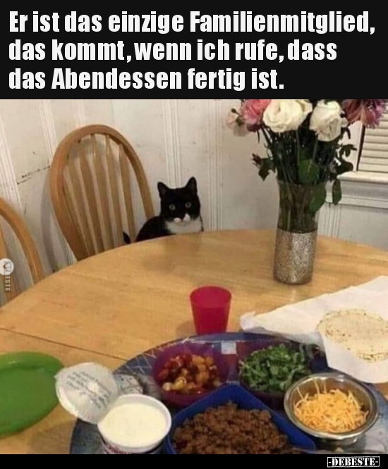 Er ist das einzige Familienmitglied, das kommt, wenn ich..