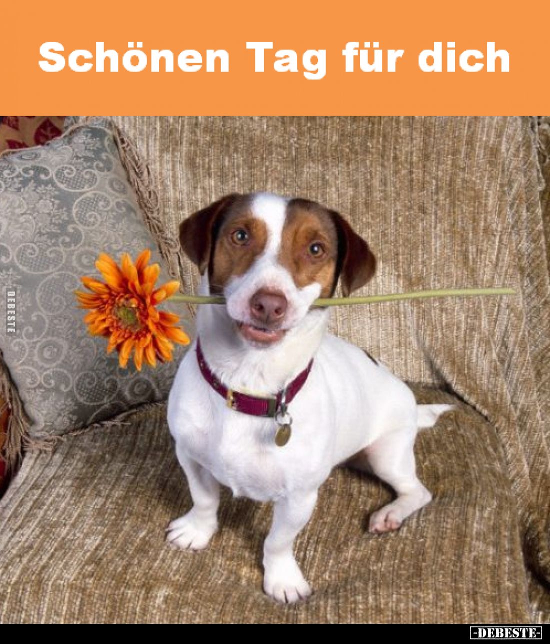 Schönen Tag für dich.