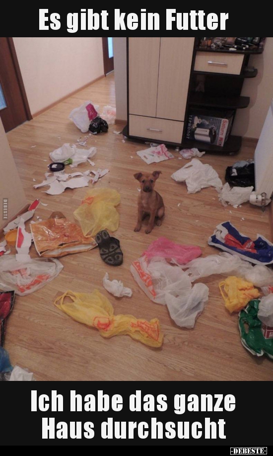 Es gibt kein Futter...