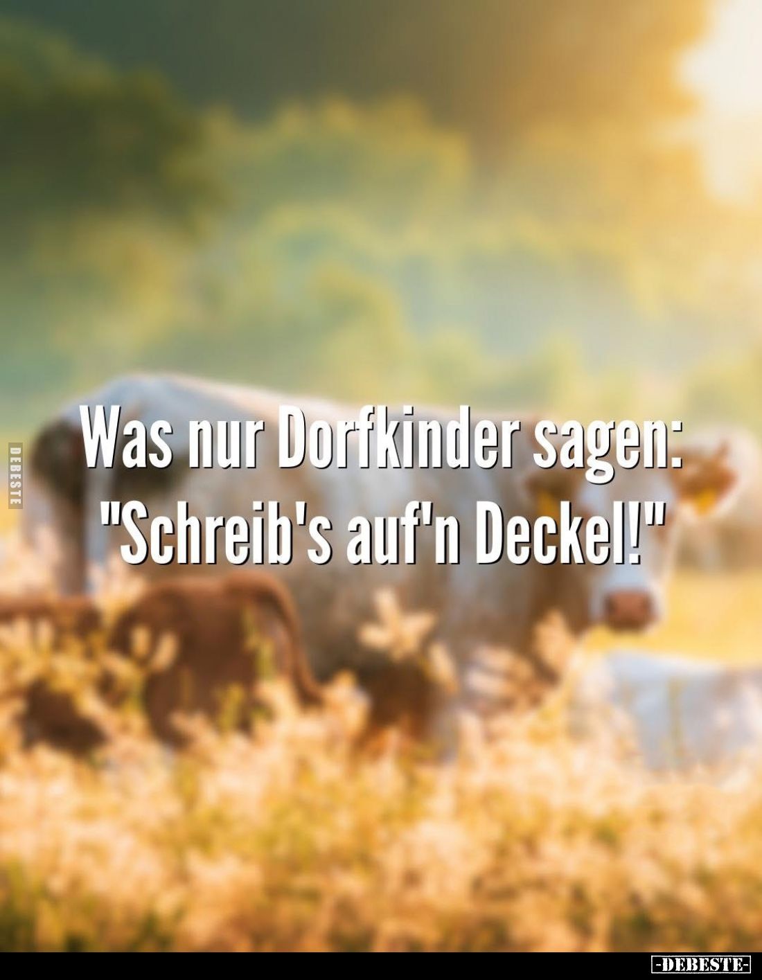 Was nur Dorfkinder sagen: "Schreib's auf'n Deckel!"