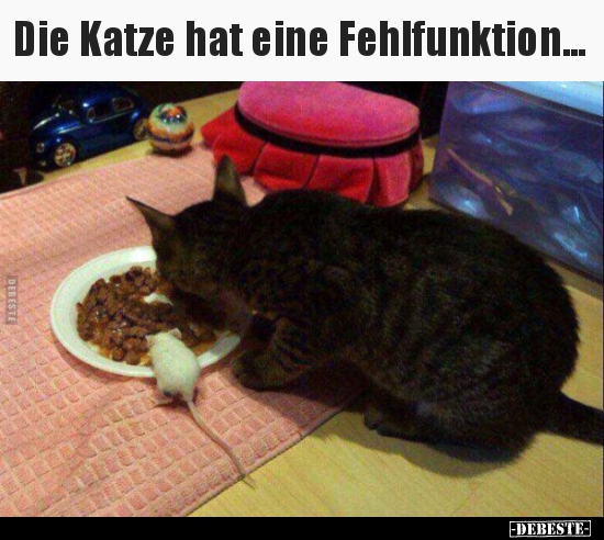 Die Katze hat eine Fehlfunktion...