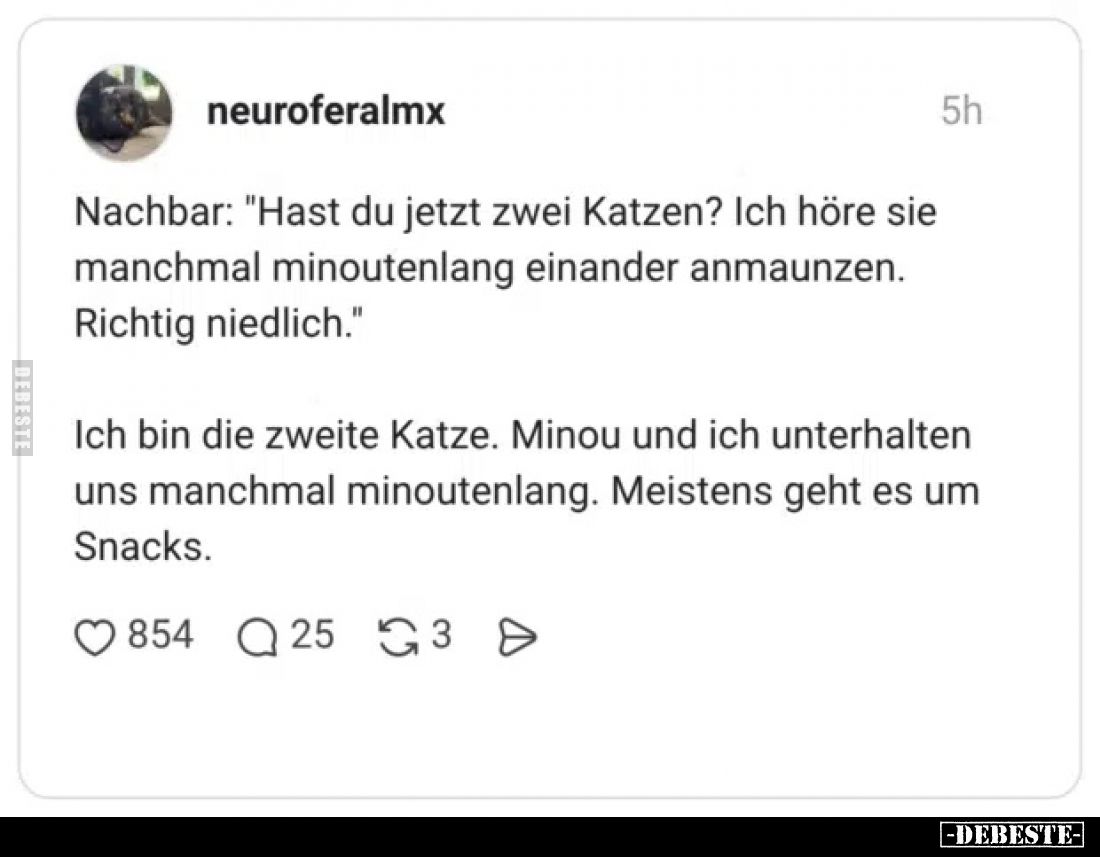 Nachbar: "Hast du jetzt zwei Katzen? Ich höre sie manchmal minoutenlang einander anmaunzen. Richtig niedlich."
Ich...