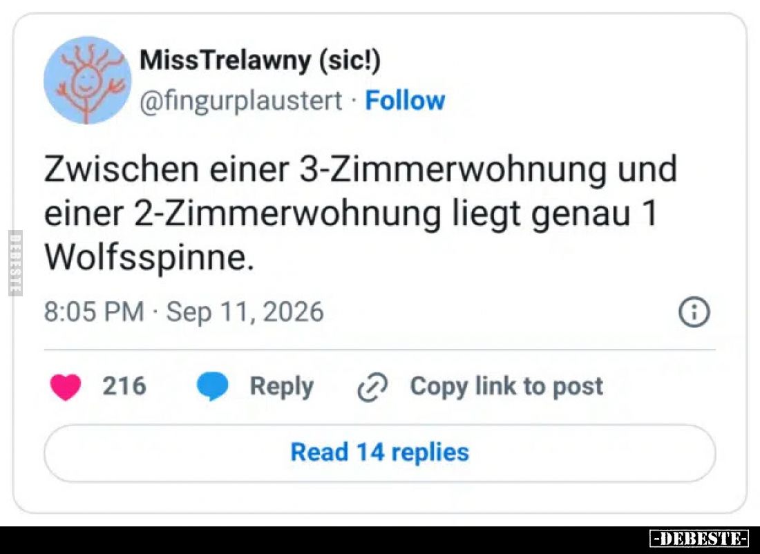 Zwischen einer 3-Zimmerwohnung und einer 2-Zimmerwohnung liegt genau 1 Wolfsspinne.