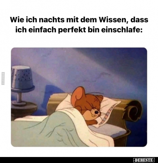 Wie ich nachts mit dem Wissen, dass ich einfach perfekt bin.. - Lustige Bilder | DEBESTE.de