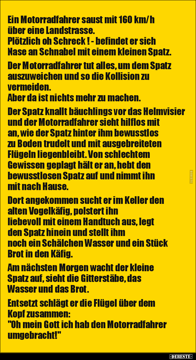 Ein Motorradfahrer saust mit 160 km/h über eine.. - Lustige Bilder | DEBESTE.de