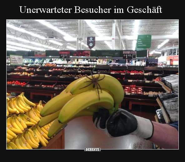 Unerwarteter Besucher im Geschäft.. - Lustige Bilder | DEBESTE.de