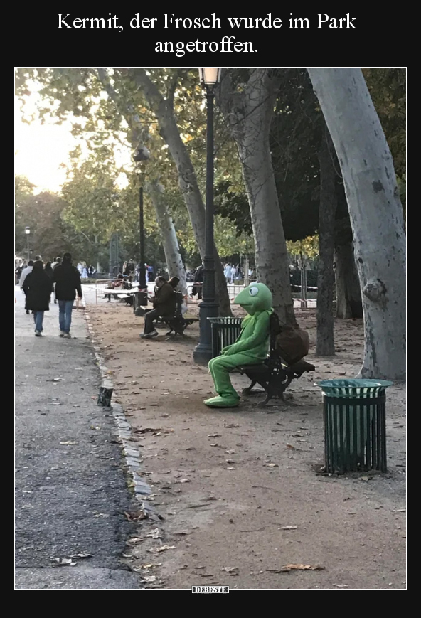 Kermit, der Frosch wurde im Park angetroffen... - Lustige Bilder | DEBESTE.de