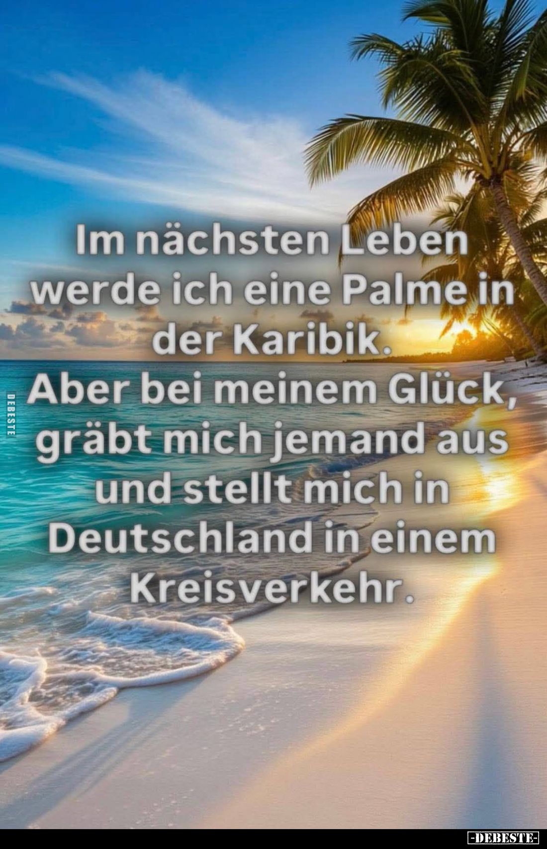 Im nächsten Leben werde ich eine Palme in der Karibik.
Aber bei meinem Glück, gräbt mich jemand aus und stellt mich in Deuts...