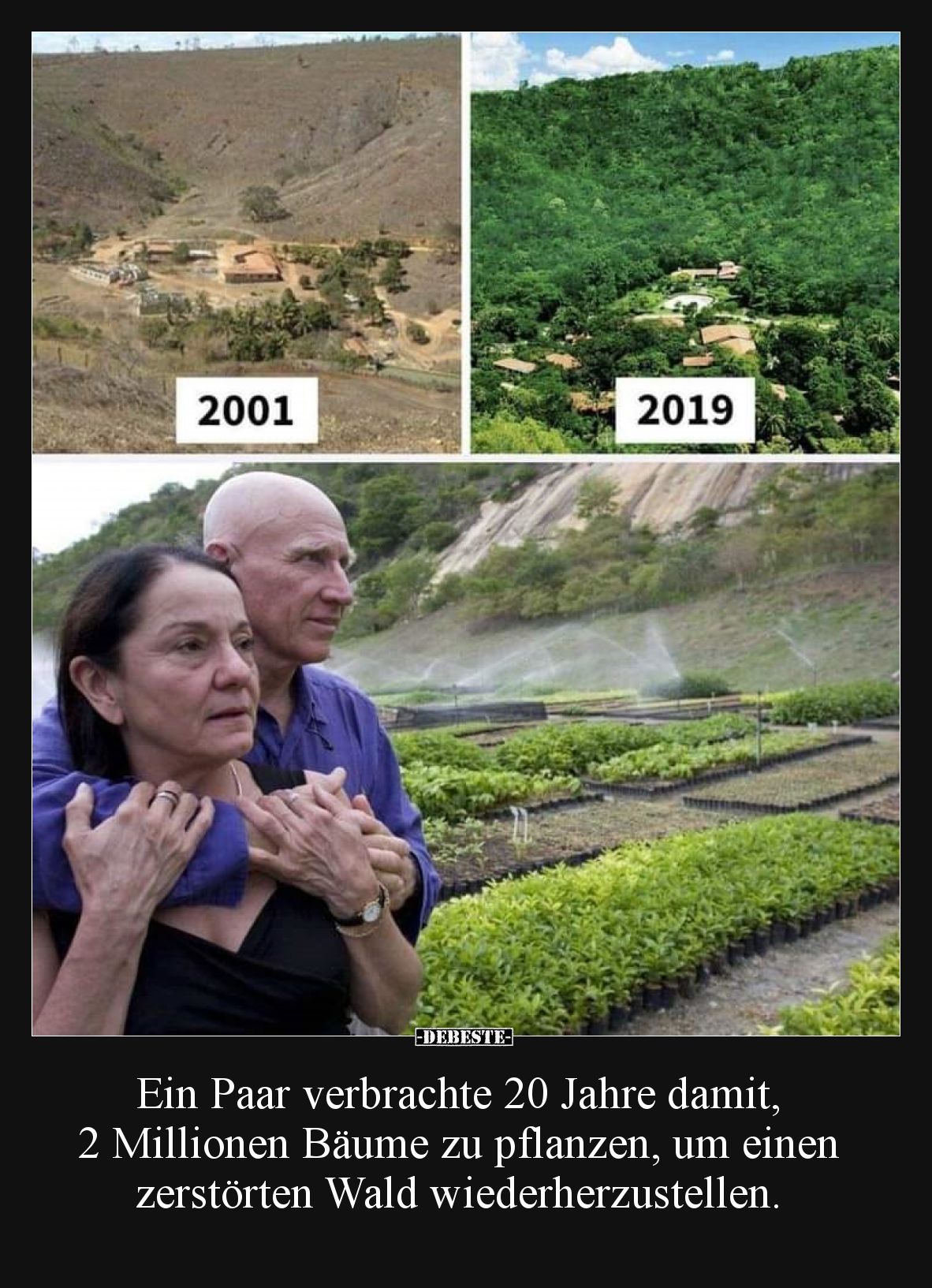 Ein Paar verbrachte 20 Jahre damit,
2 Millionen Bäume zu pflanzen, um einen zerstörten Wald wiederherzustellen.