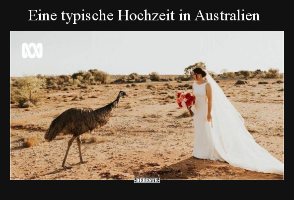 Eine typische Hochzeit in Australien.. - Lustige Bilder | DEBESTE.de