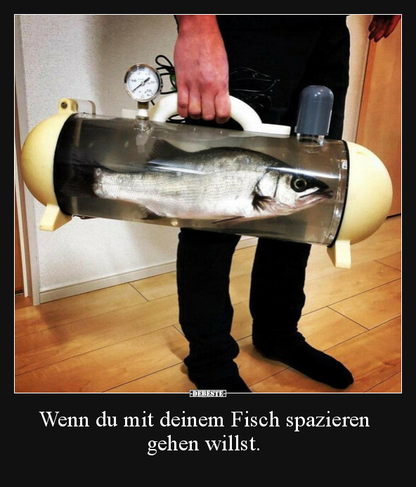 Wenn du mit deinem Fisch spazieren gehen willst... - Lustige Bilder | DEBESTE.de