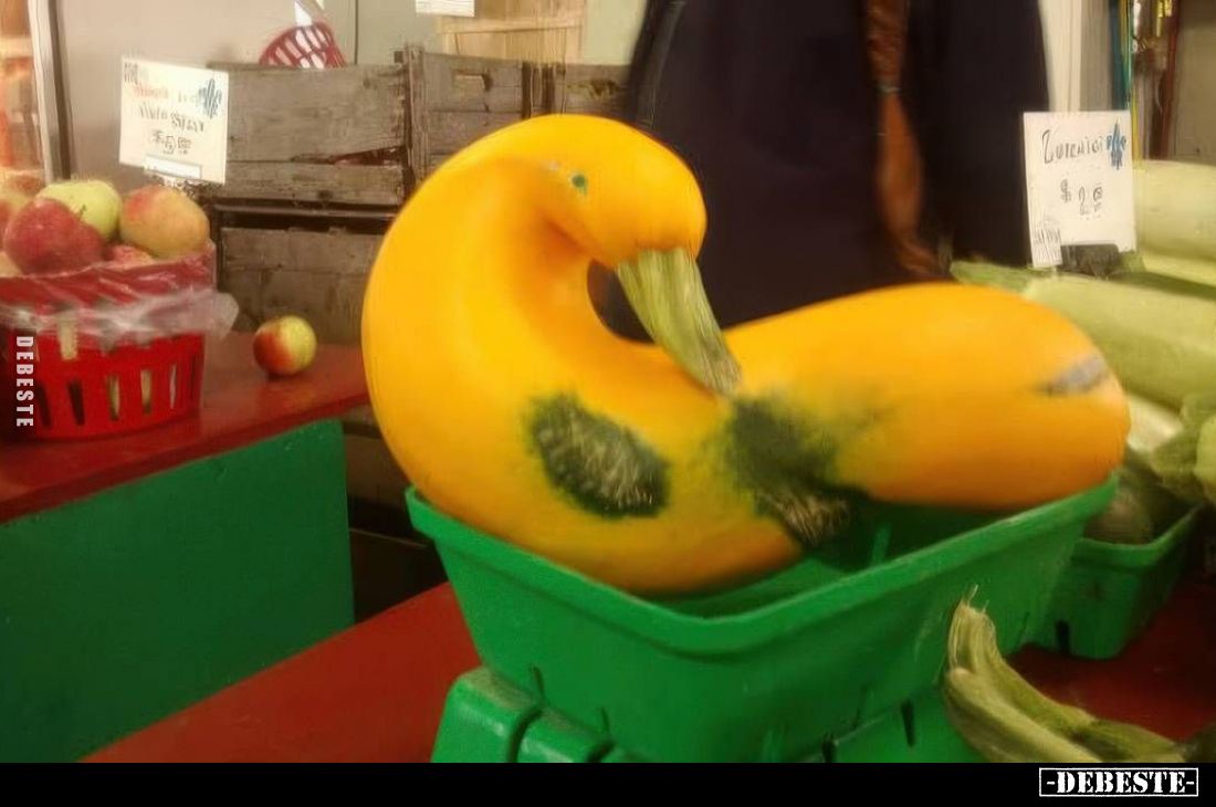  - Lustige Bilder | DEBESTE.de