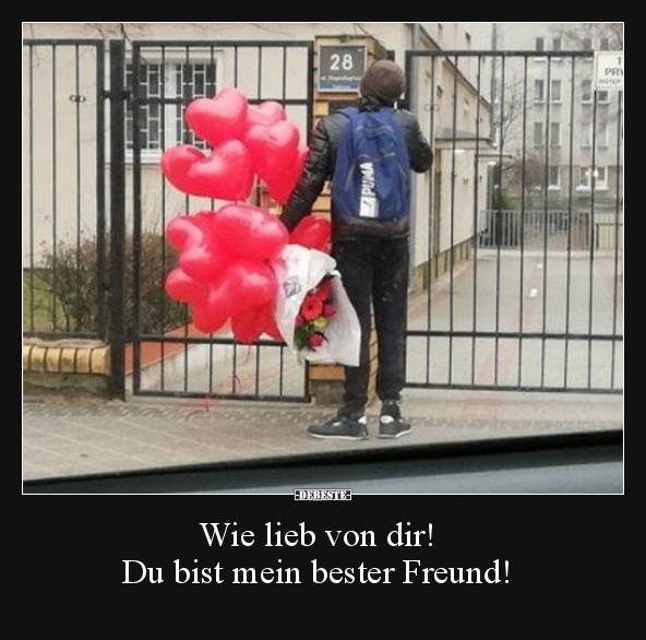 Wie lieb von dir! Du bist mein bester Freund!.. - Lustige Bilder | DEBESTE.de