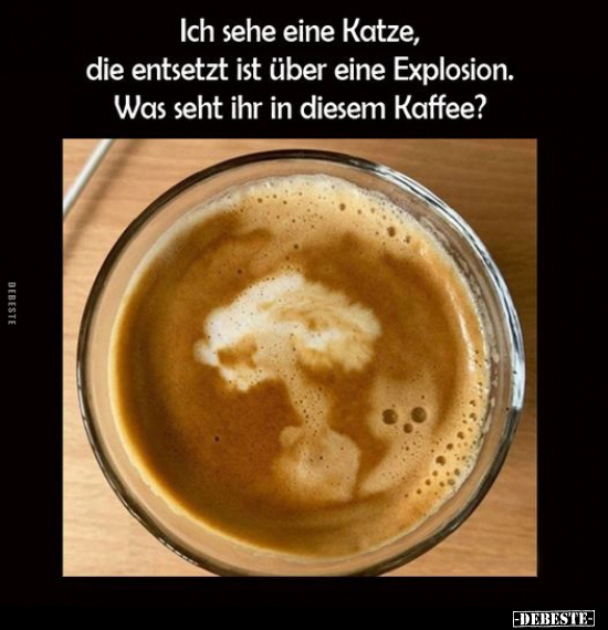 Ich sehe eine Katze, die entsetzt ist über eine Explosion... - Lustige Bilder | DEBESTE.de