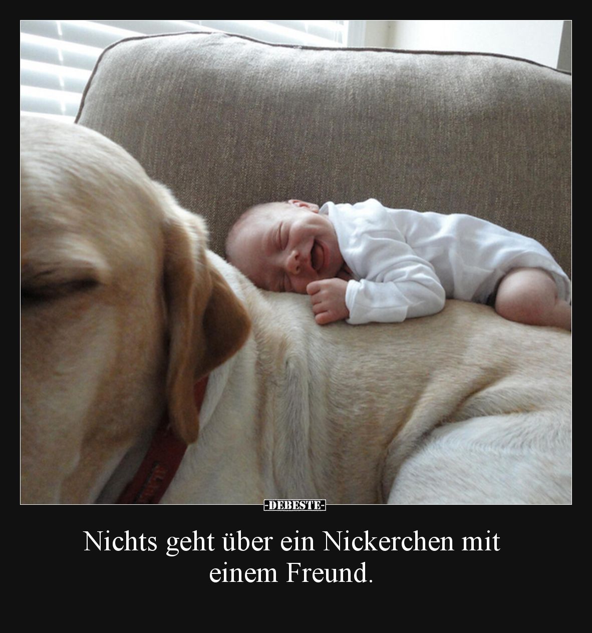 Nichts geht über ein Nickerchen mit einem Freund... - Lustige Bilder | DEBESTE.de