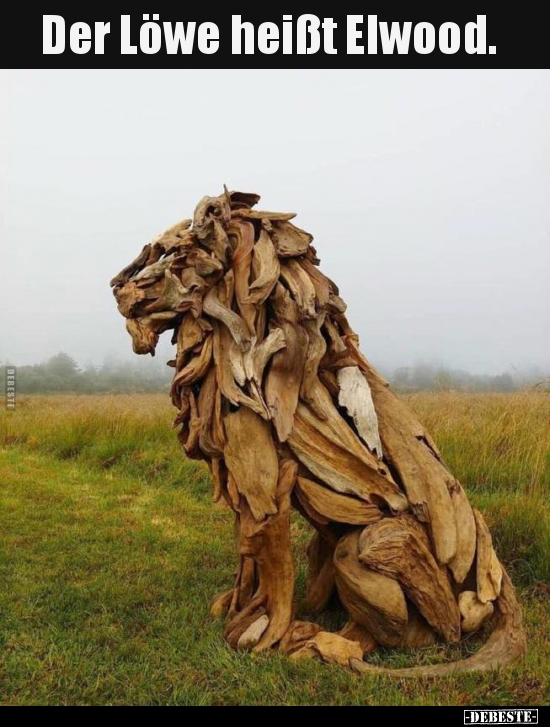 Der Löwe heißt Elwood...