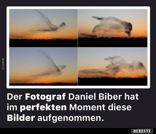 Der Fotograf Daniel Biber hat im perfekten Moment diese.. - Lustige Bilder | DEBESTE.de