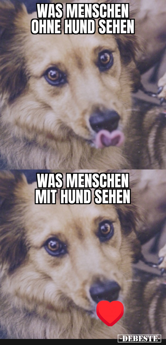 Wer so einen hat, weiß das - Lustige Bilder | DEBESTE.de