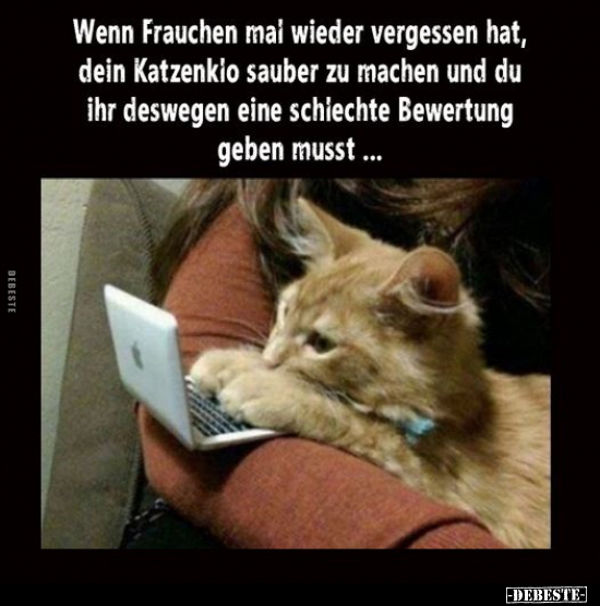 Wenn Frauchen mal wieder vergessen hat, dein Katzenklo.. - Lustige Bilder | DEBESTE.de