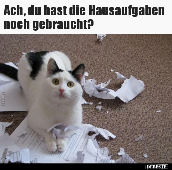 Ach, du hast die Hausaufgaben noch gebraucht?.. - Lustige Bilder | DEBESTE.de