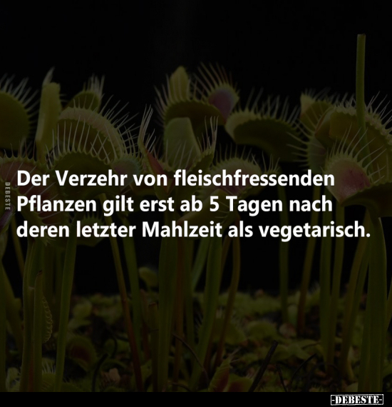 Der Verzehr von fleischfressenden Pflanzen.. - Lustige Bilder | DEBESTE.de