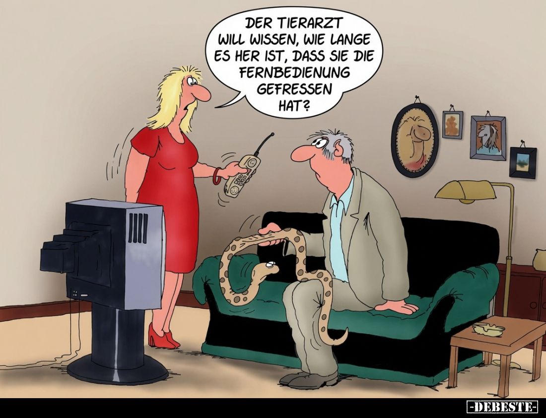 Der Tierarzt will wissen, wie lange es her ist, dass sie die Fernbedienung gefressen hat?