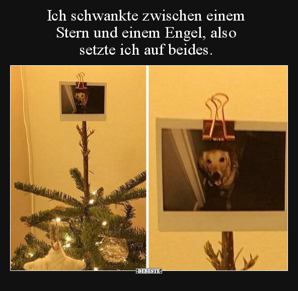 Ich schwankte zwischen einem Stern und einem Engel, also setzte ich auf beides.