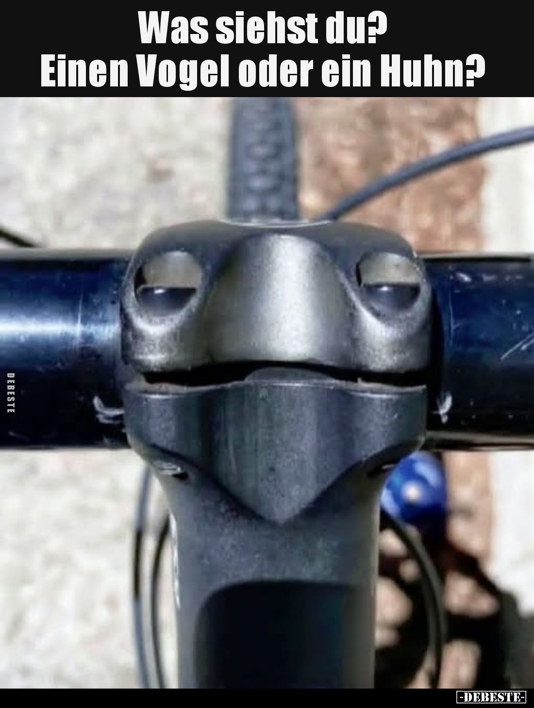 Was siehst du? Einen Vogel oder ein Huhn?