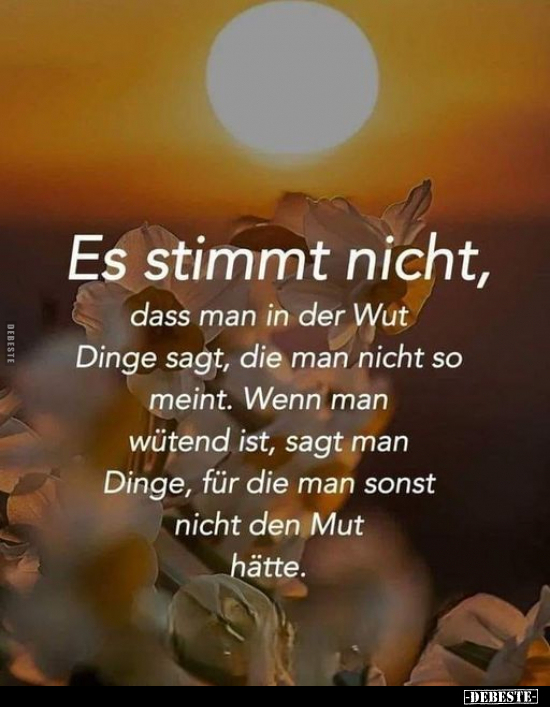 Es stimmt nicht, dass man in der Wut Dinge sagt.. - Lustige Bilder | DEBESTE.de