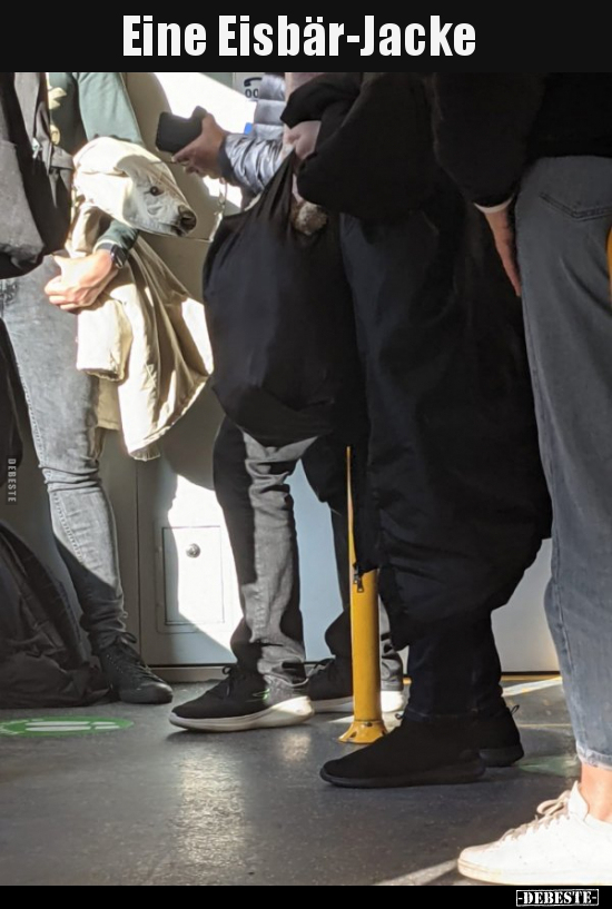 Eine Eisbär-Jacke..