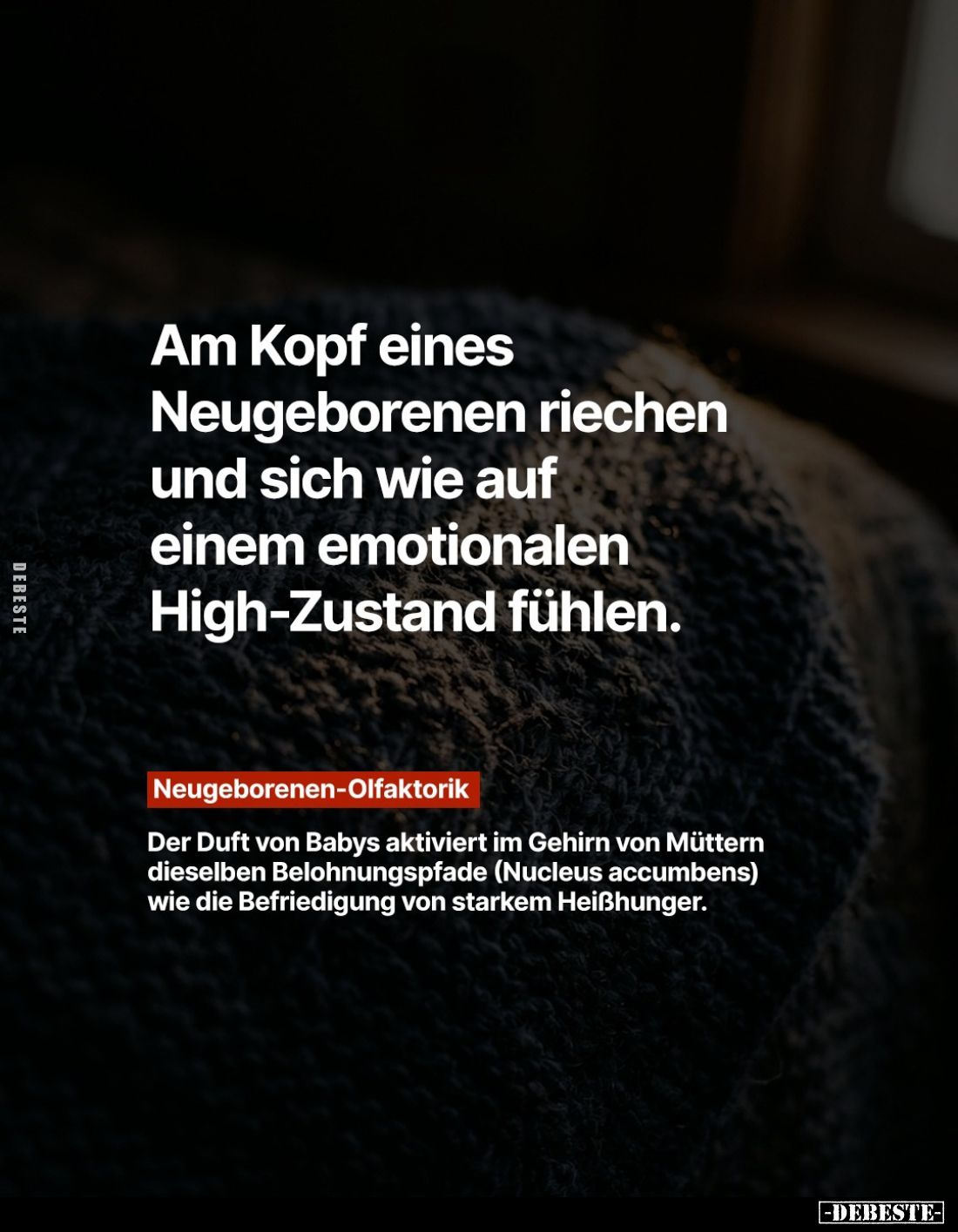 Am Kopf eines Neugeborenen riechen und sich wie auf einem.. - Lustige Bilder | DEBESTE.de