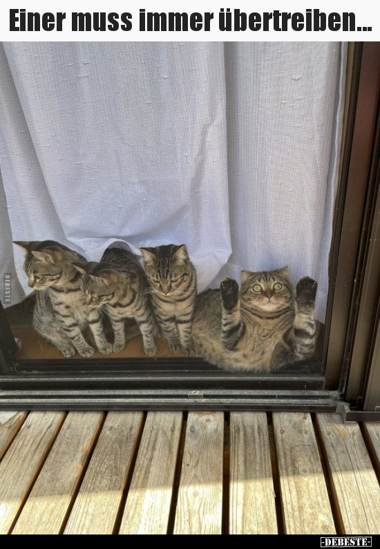 Einer muss immer übertreiben...