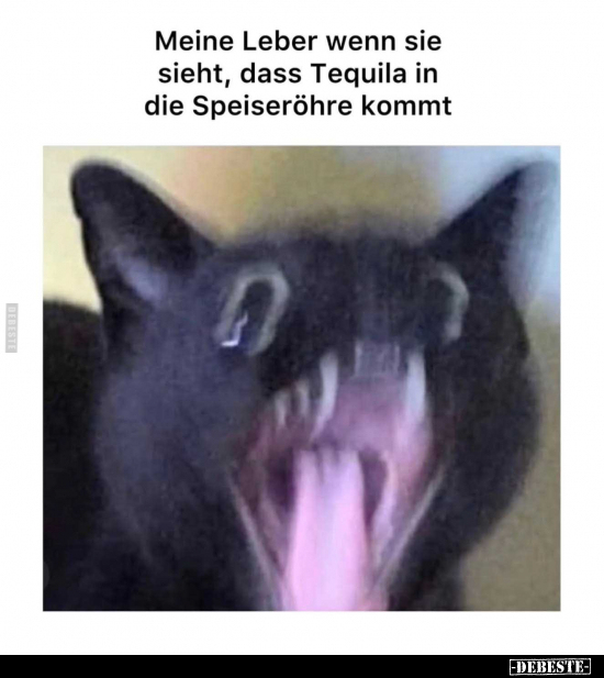 Meine Leber wenn sie sieht, dass Tequila in die Speiseröhre kommt.. - Lustige Bilder | DEBESTE.de