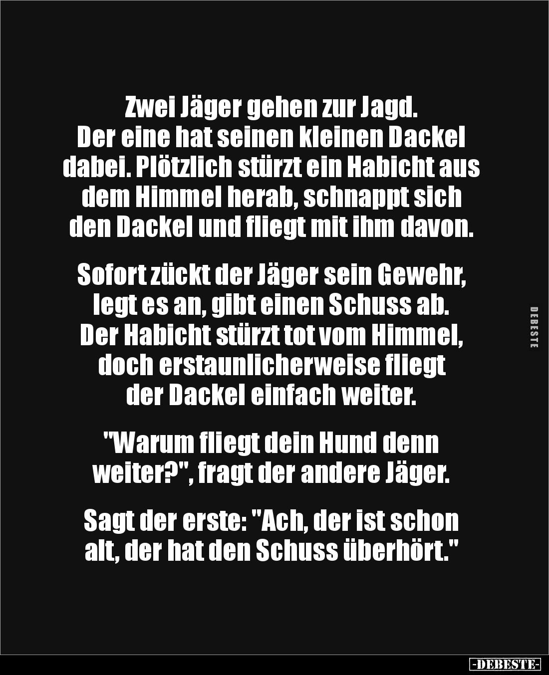 Zwei Jäger gehen zur Jagd.
Der eine hat seinen kleinen Dackel dabei. Plötzlich stürzt ein Habicht aus dem Himmel herab, sch...