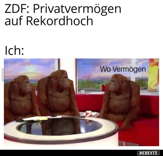 ZDF: Privatvermögen auf Rekordhoch