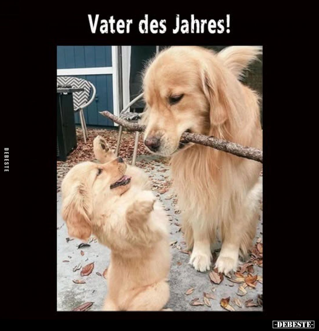 Vater des Jahres!