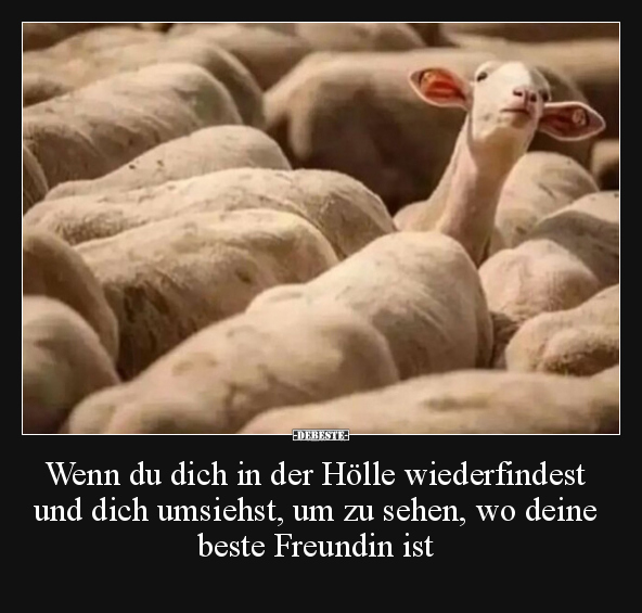 Wenn du dich in der Hölle wiederfindest und dich umsiehst.. - Lustige Bilder | DEBESTE.de