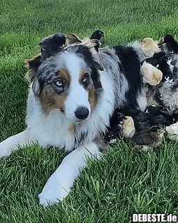 Abhängen mit den Chicks...