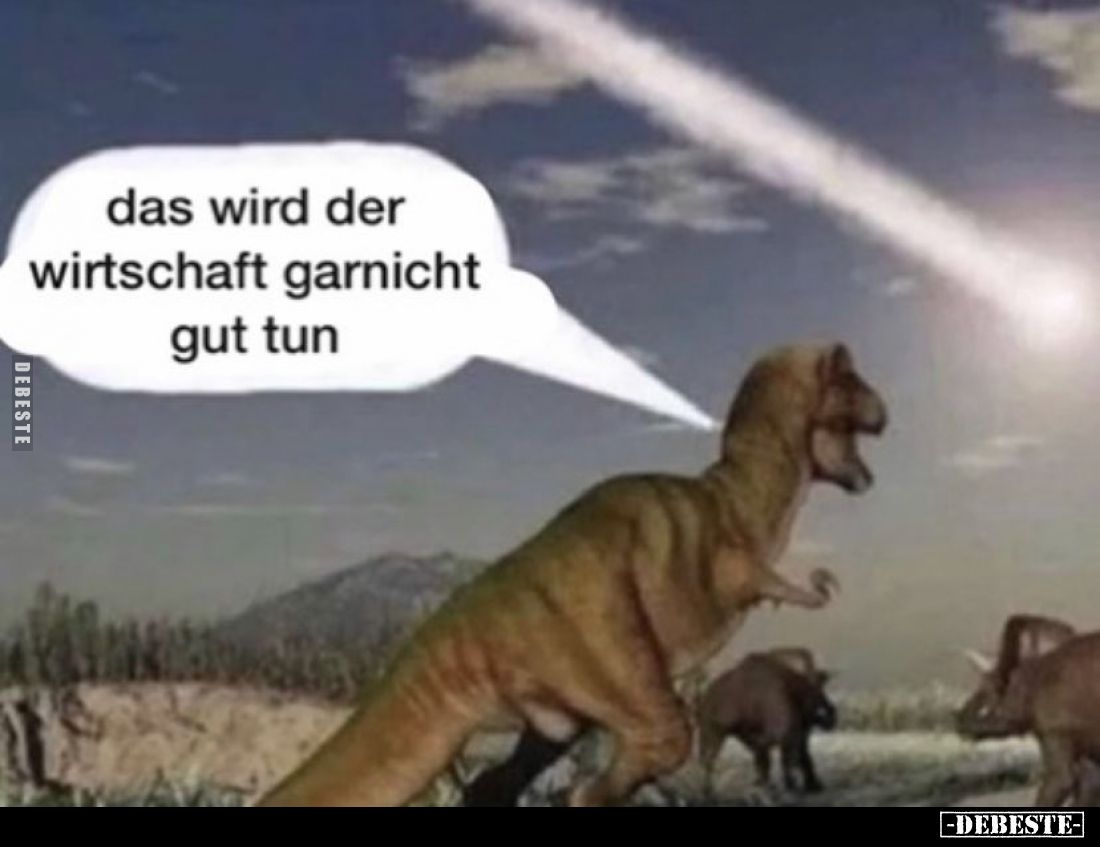 Das wird der Wirtschaft garnicht gut tun.