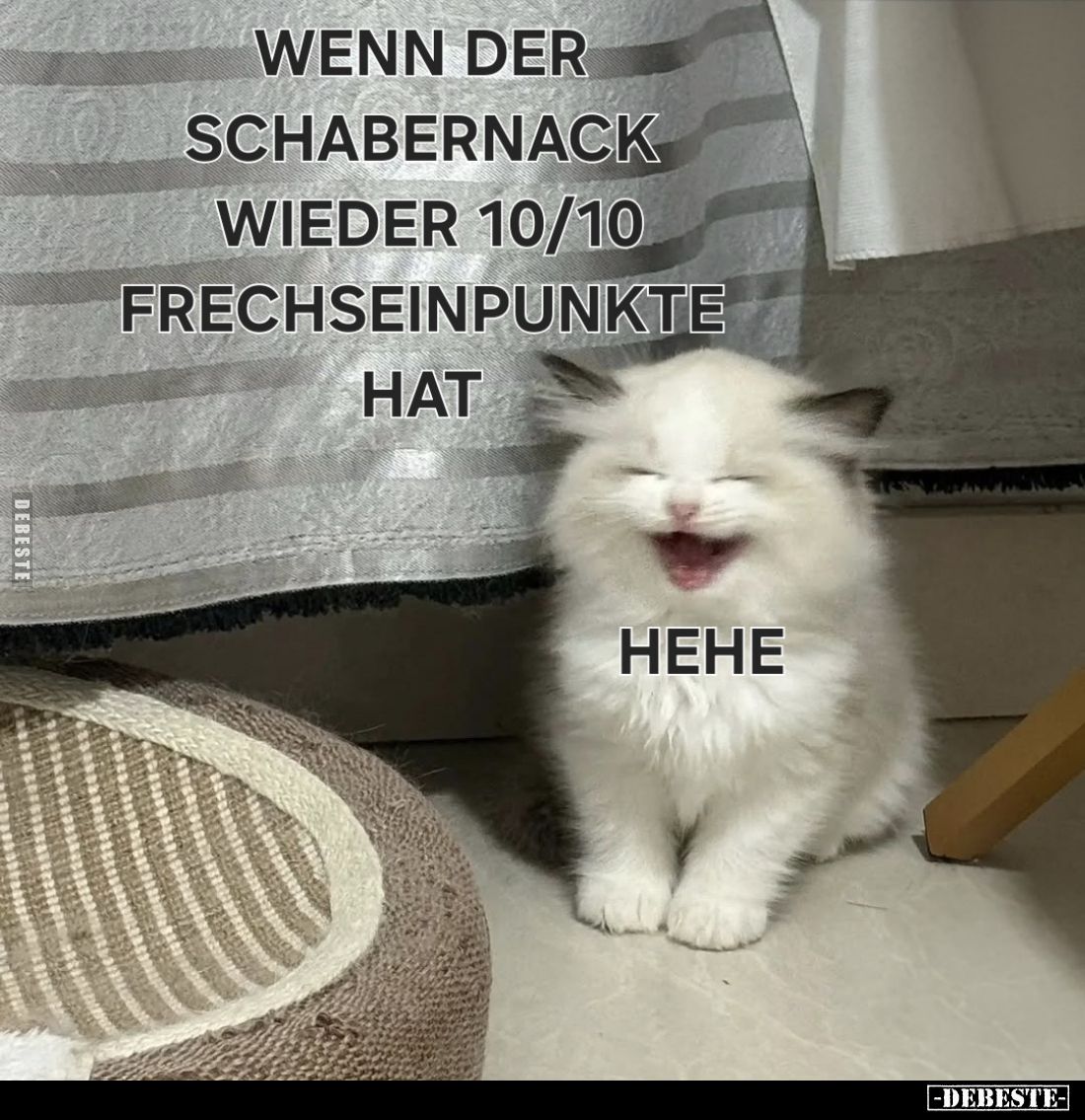 Wenn der Schabernack wieder 10/10 Frechseinpunkte hat - Hehe