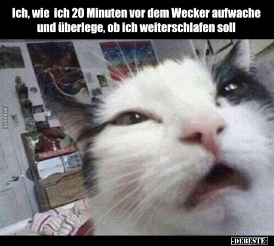Ich, wie ich 20 Minuten vor dem Wecker aufwache und..