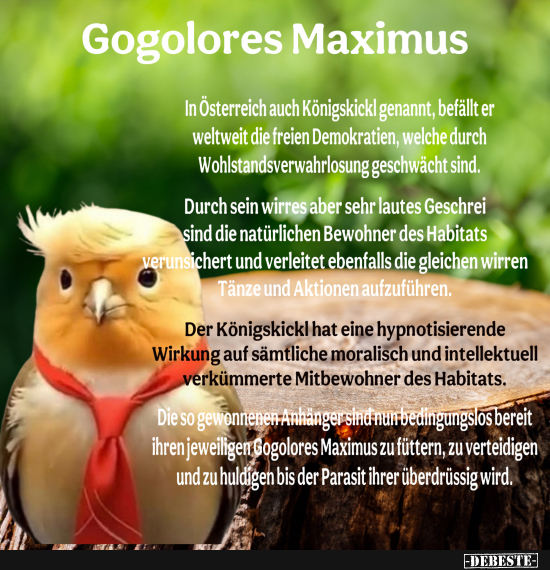  - Lustige Bilder | DEBESTE.de